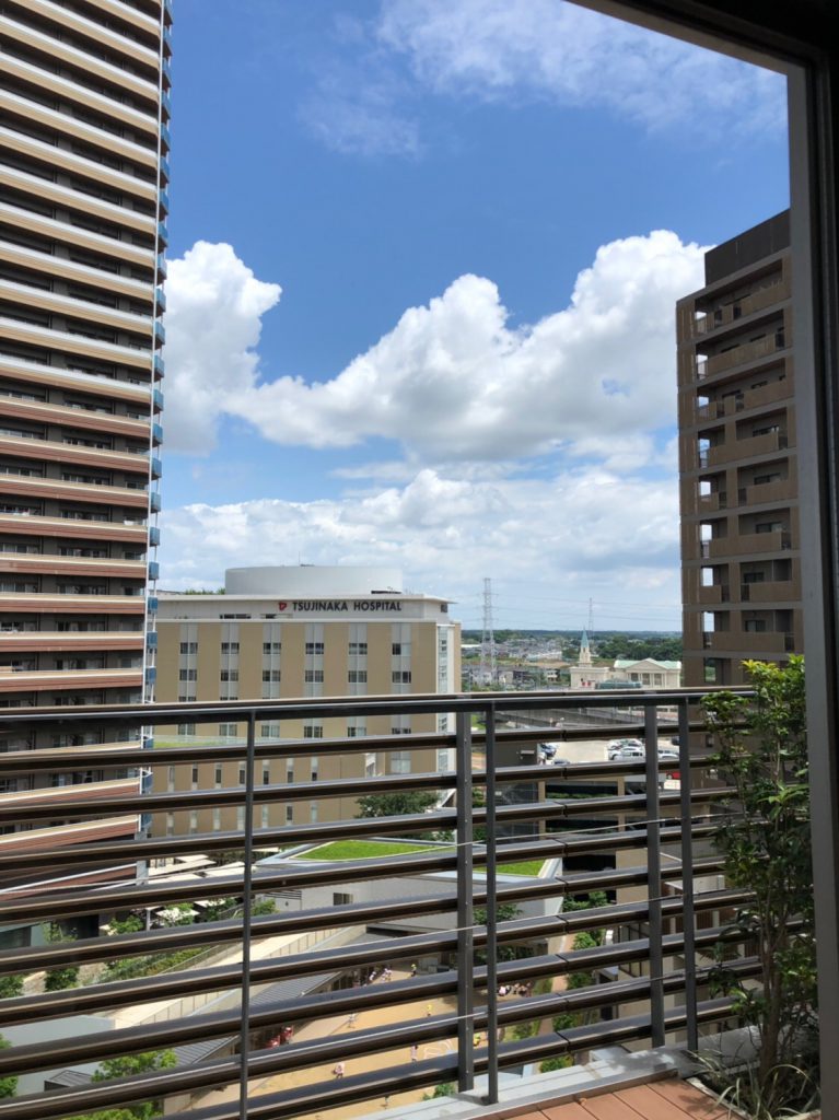  WWDC: 新しい LCD モニター