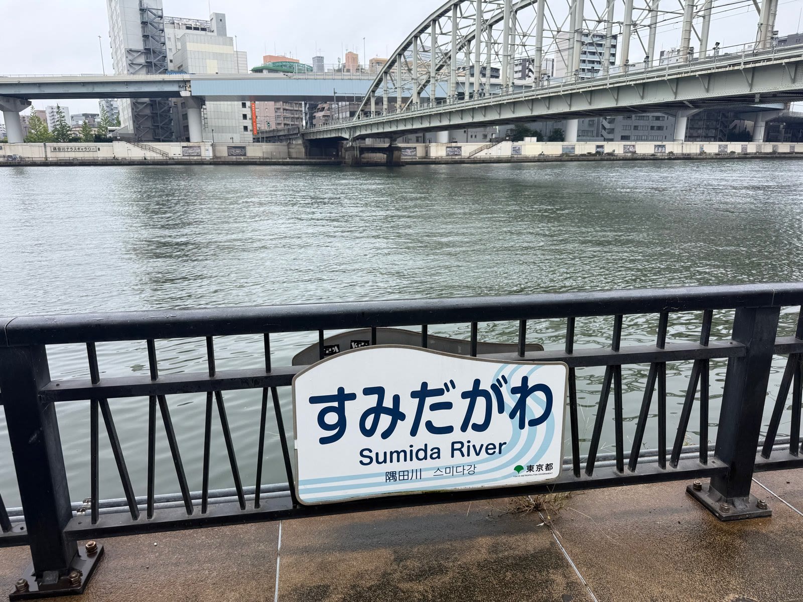 「すみだがわ」の案内板の向こうに広がる川と鉄橋、高架道路