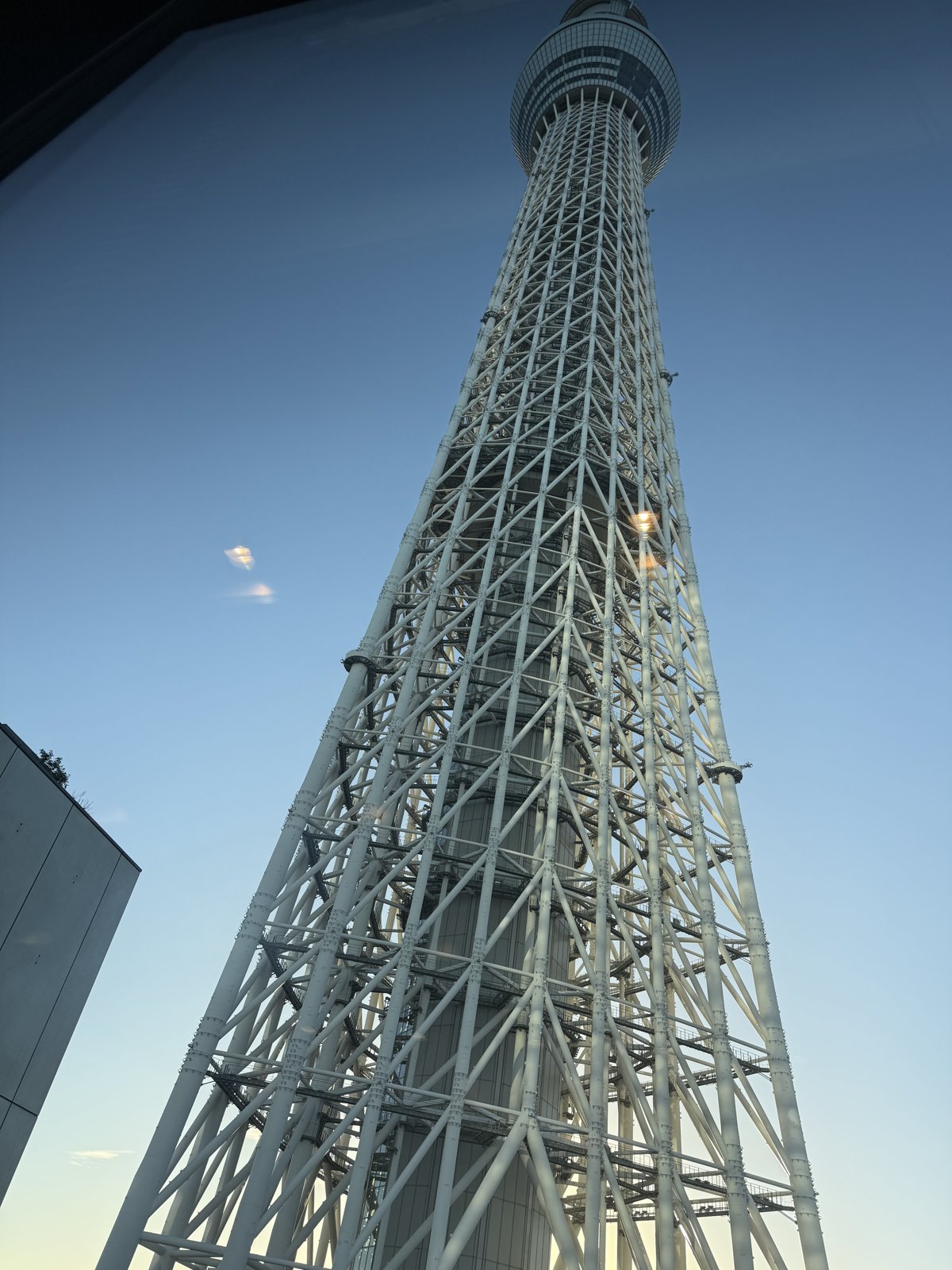 ガラス越しに見上げた、鉄骨が組まれたスカイツリーの足元